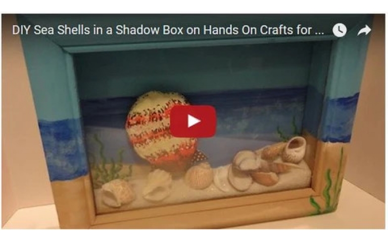 DIY Sea Shells in a Shadow Box on Hands On Crafts for Kids (1508-1)